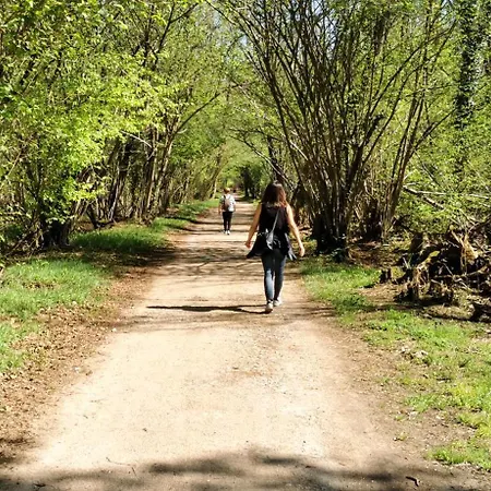 Lägenhet Residenza La Ruota Tulipano Arona